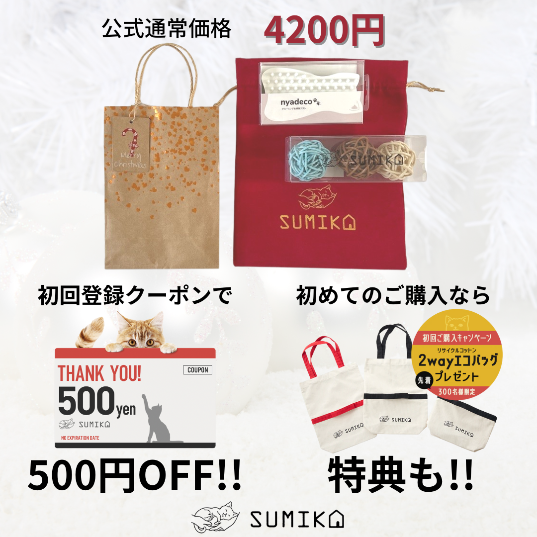 公式オンラインショップなら開設記念キャンペーン実施中！