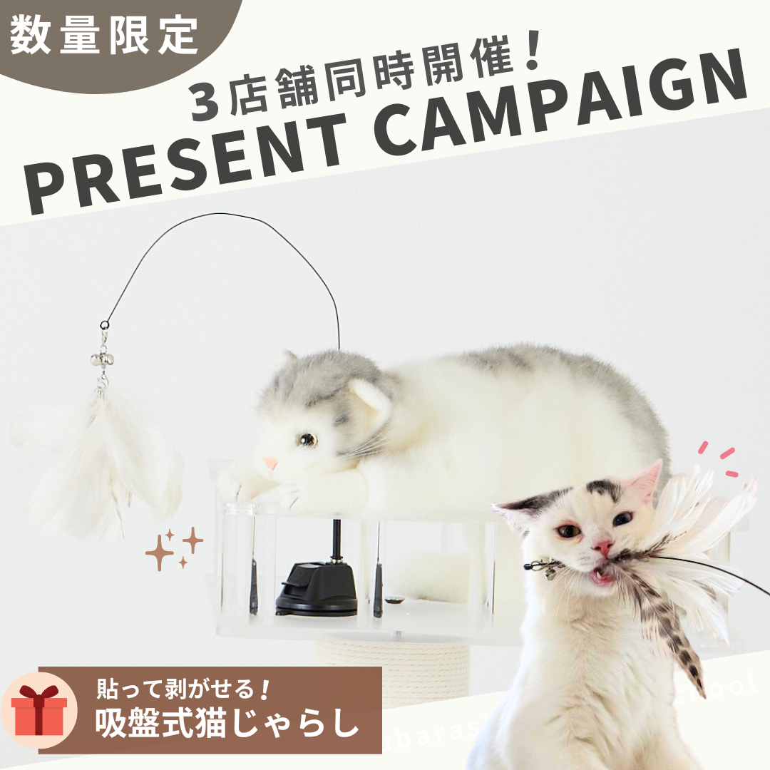 ☆新商品☆大人気の突っ張り型木製キャットタワーに新パーツが登場！猫