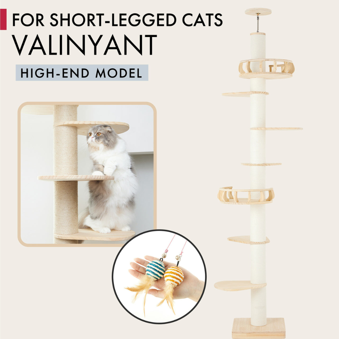 おもてなしの心