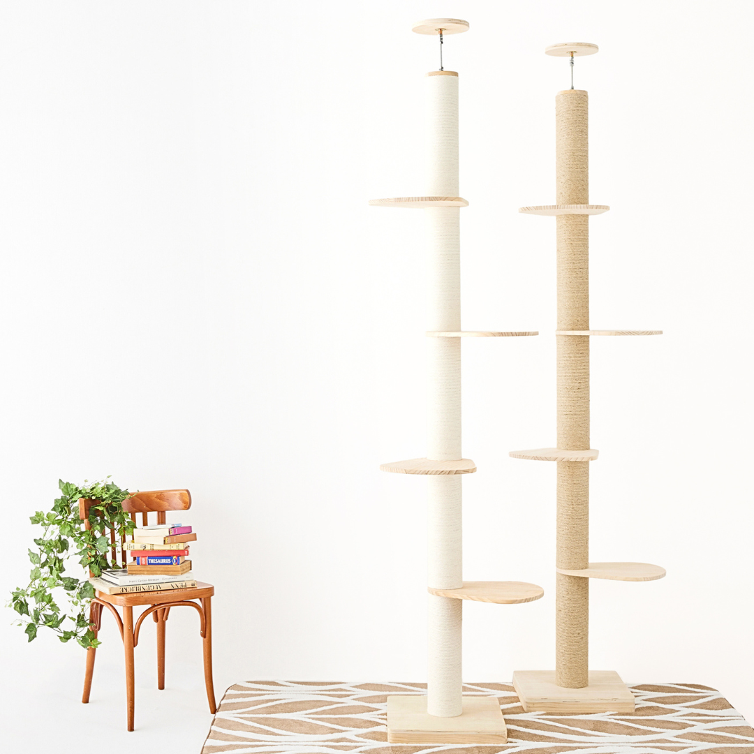 おもてなしの心