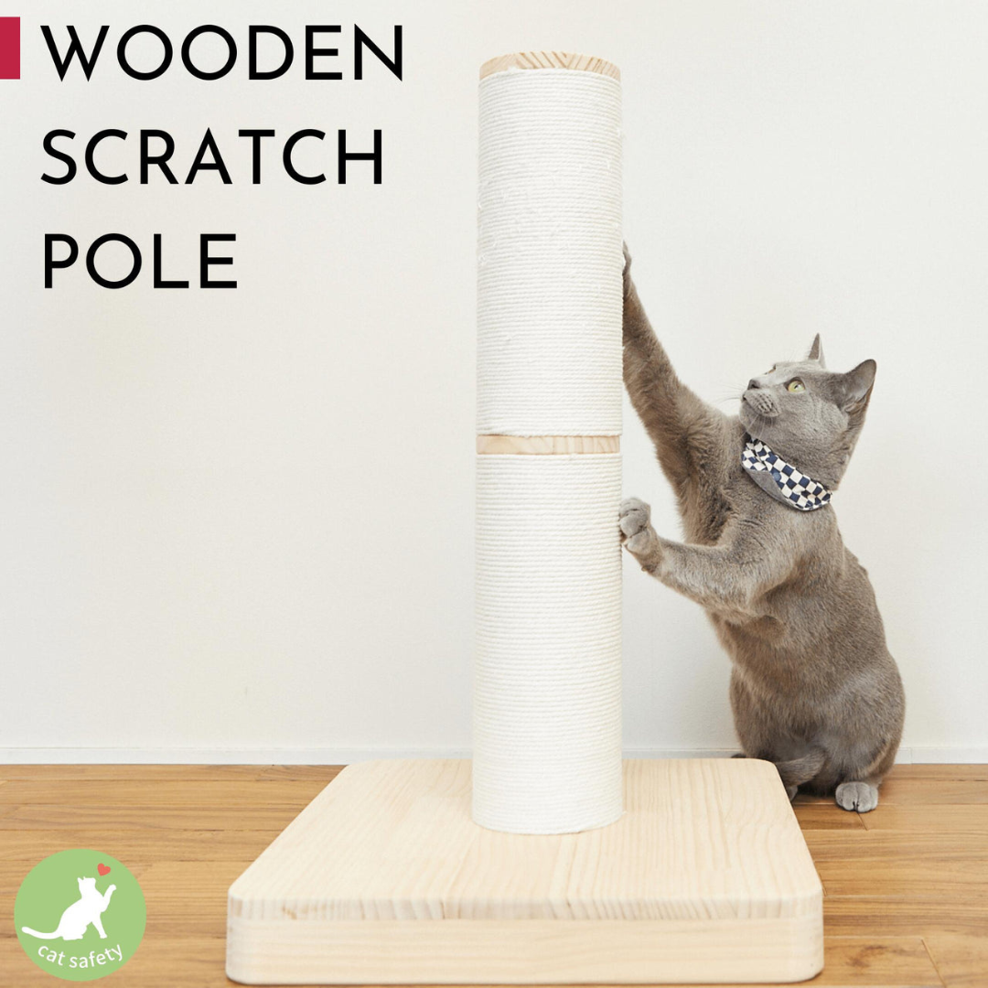 おもてなしの心