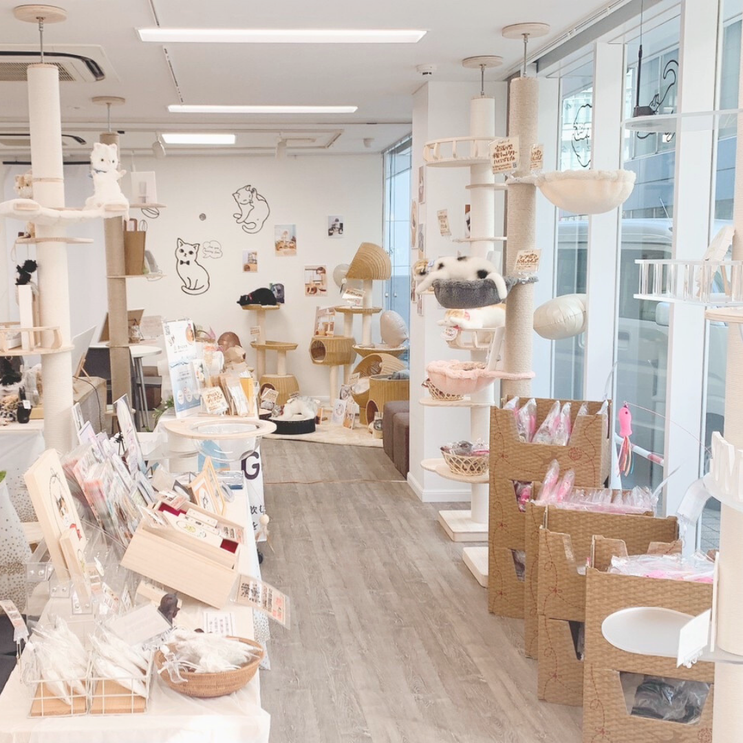 キャットタワーも商品ディスプレイに変身！