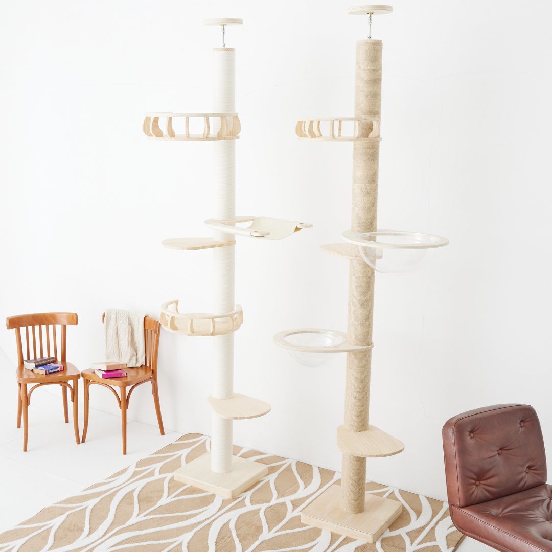 キャットタワーでお馴染み「キミとワタシのSUMIKA」がイベント初