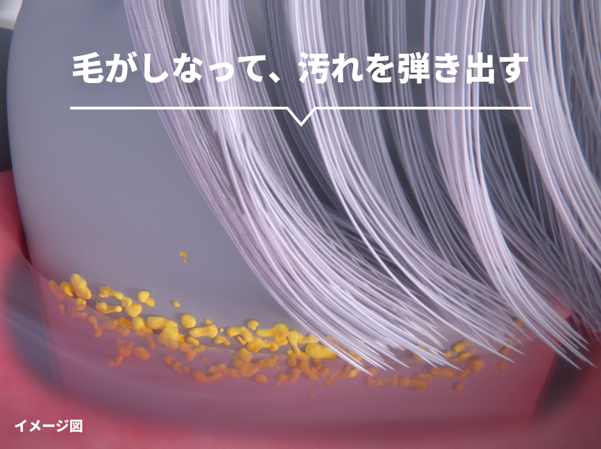図1：弾力毛が汚れを弾き出す