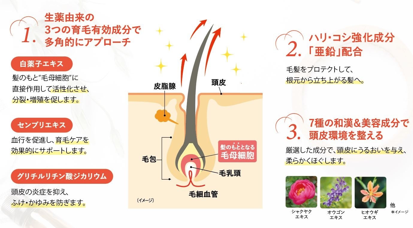 図 2 ふわり 美髪をかなえる カギ
