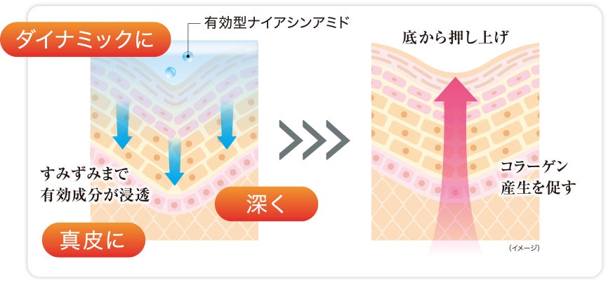 サンスターが口まわりに着目 有効型ナイアシンアミドの3Dアプローチで