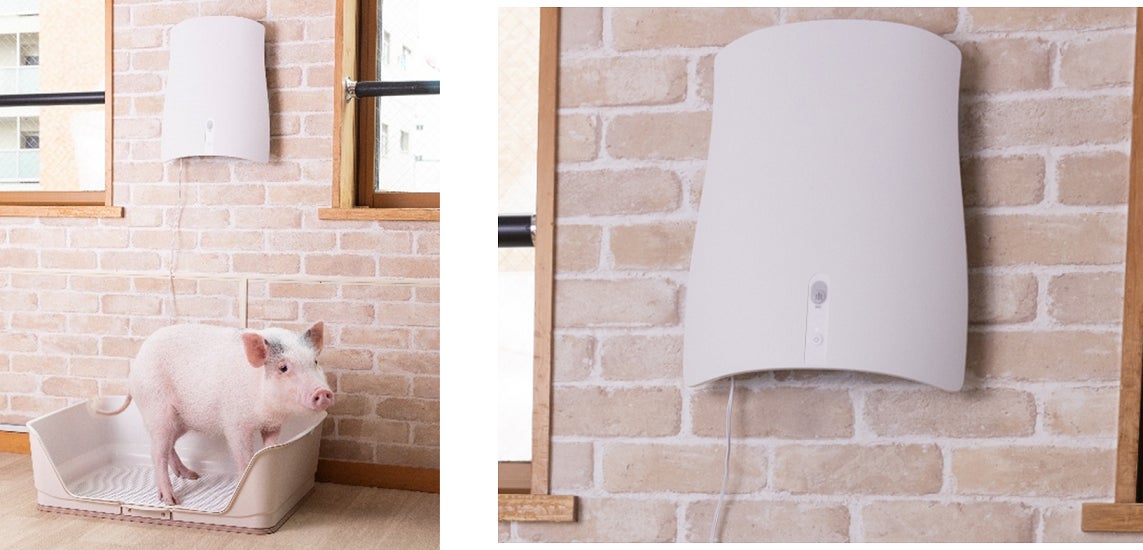 サンスターQAIS(クワイス) 壁掛け除菌脱臭機 【公式通販】 サンスターQAIS(クワイス) 壁掛け除菌脱臭機 【公式通販】