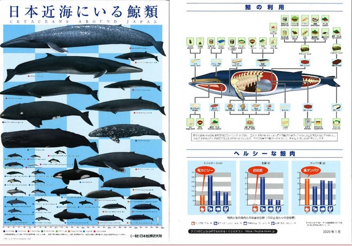 鯨食普及】「クジラからあげ」500食を無料配布!親⼦向け⿂⾷推進 鯨食普及】「クジラからあげ」500食を無料配布!親⼦向け⿂⾷推進