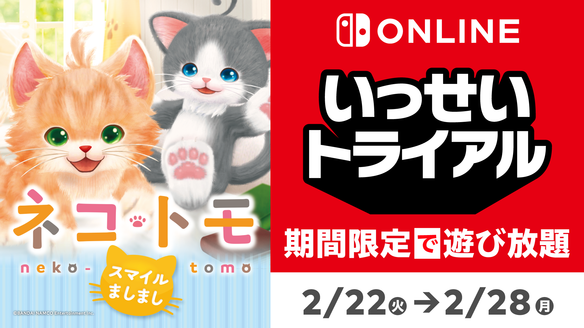 猫*又様 Nintendo Switch 本体 ＆コントローラーセット どら猫さま専用】新品未開封☆ Switch 任天堂 スイッチ 本体 ネオン ニ