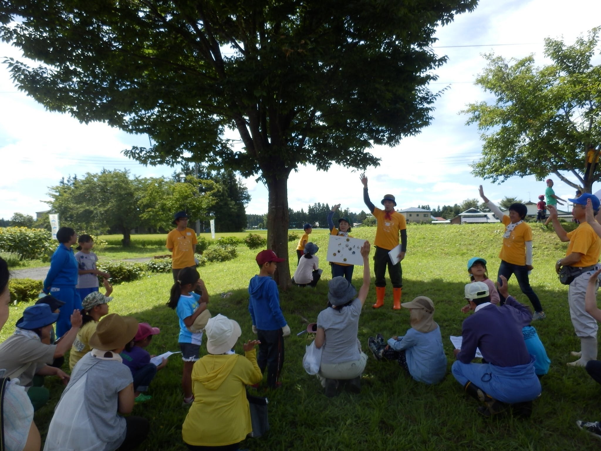 マイムマイム奥州のプログラム