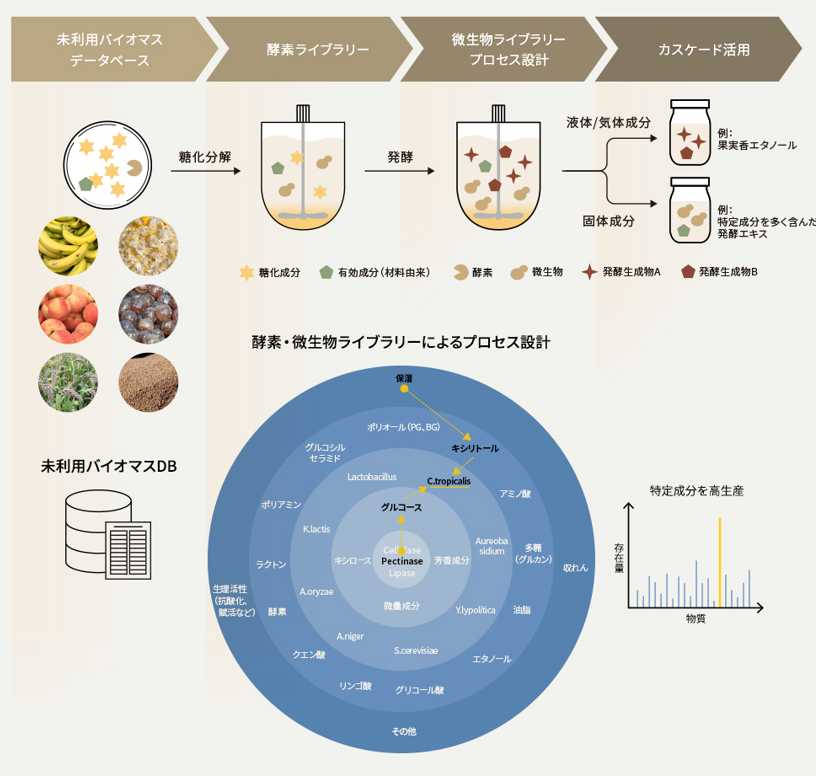 図４　未利用バイオマスと生産物質に基づくバイオプロセスの設計