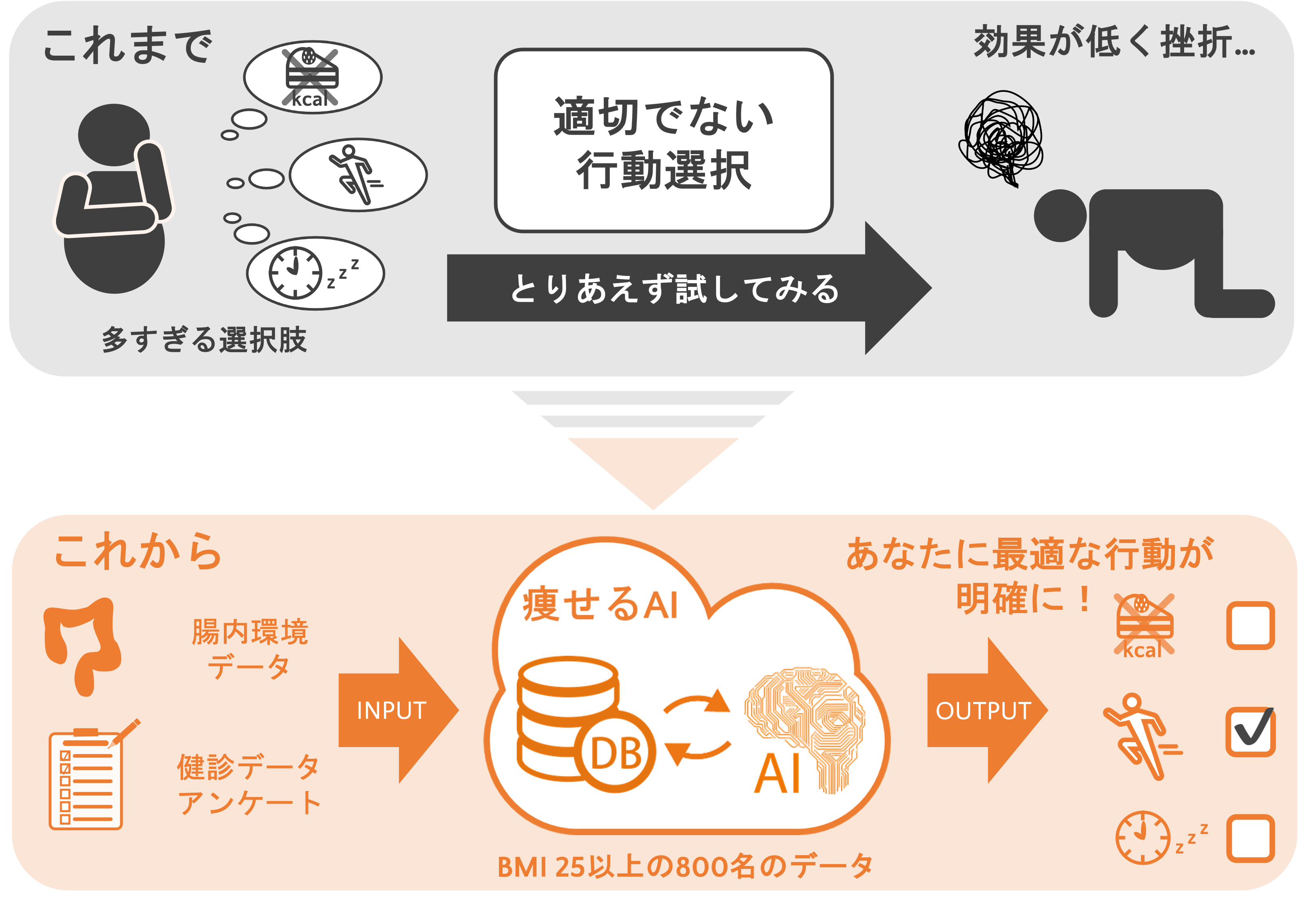 体内IDダイエット : 自分に合うヤセ方がわかる 体内IDダイエット : 自分に合うヤセ方がわかる 体内IDダイエット