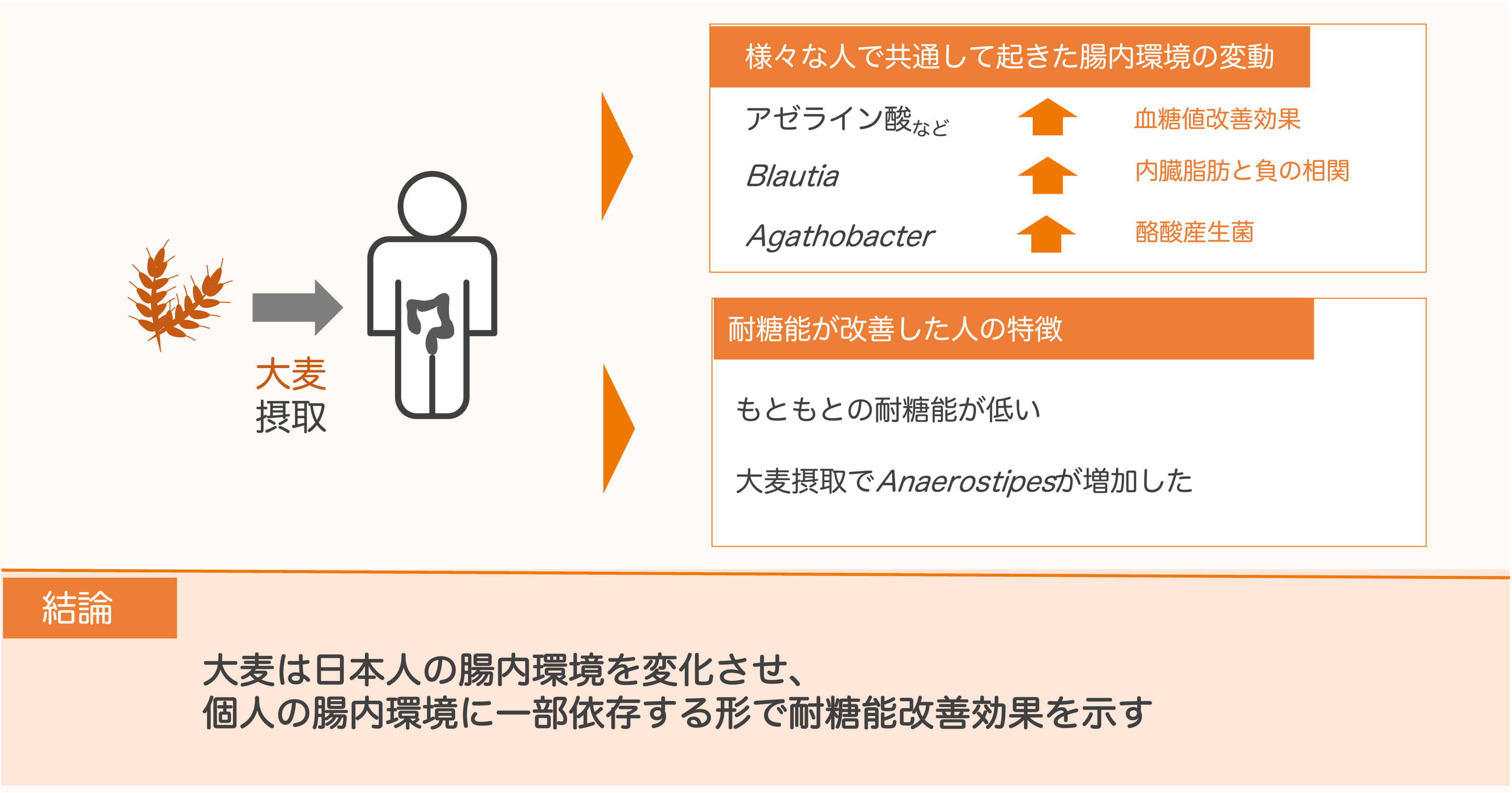 共同研究成果の概要（横長）