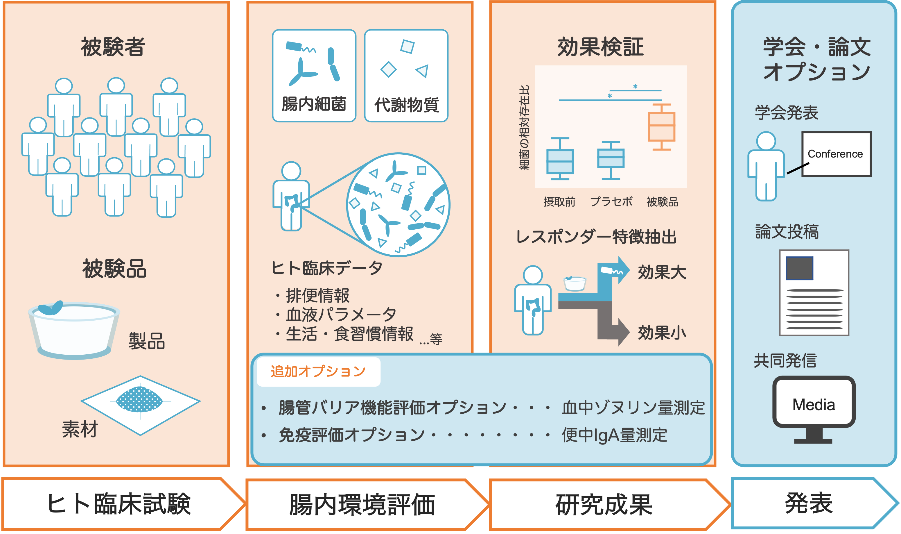 オプション追加】腸管バリア機能評価を行う新たなオプションを加え