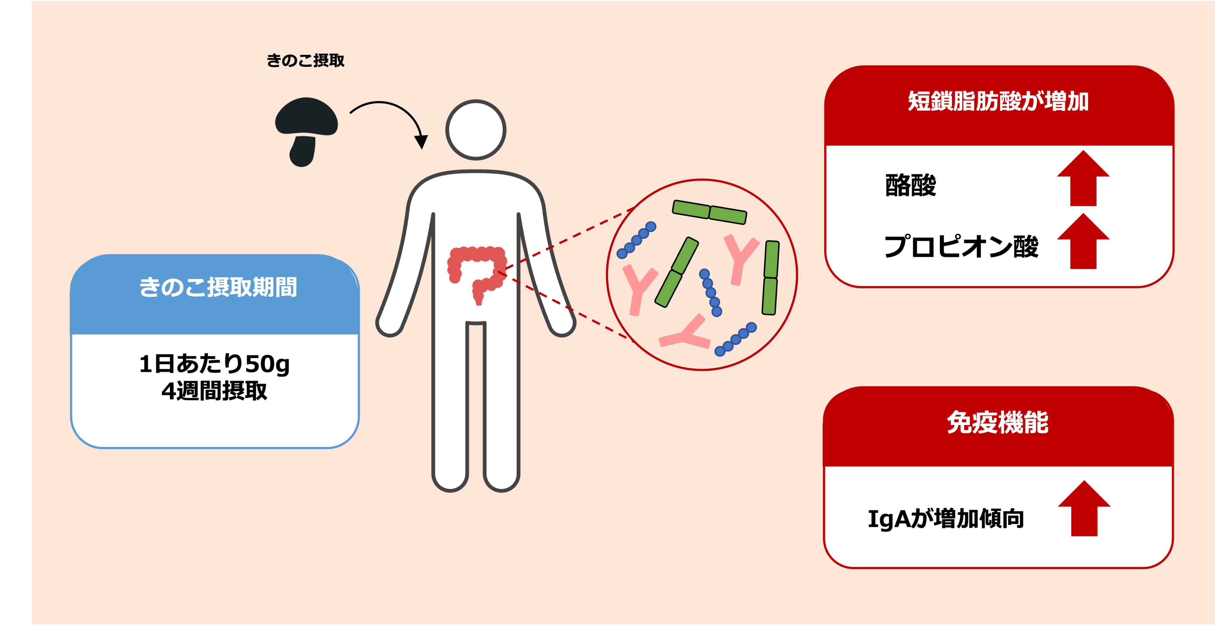 prtimes_graphical_abstract