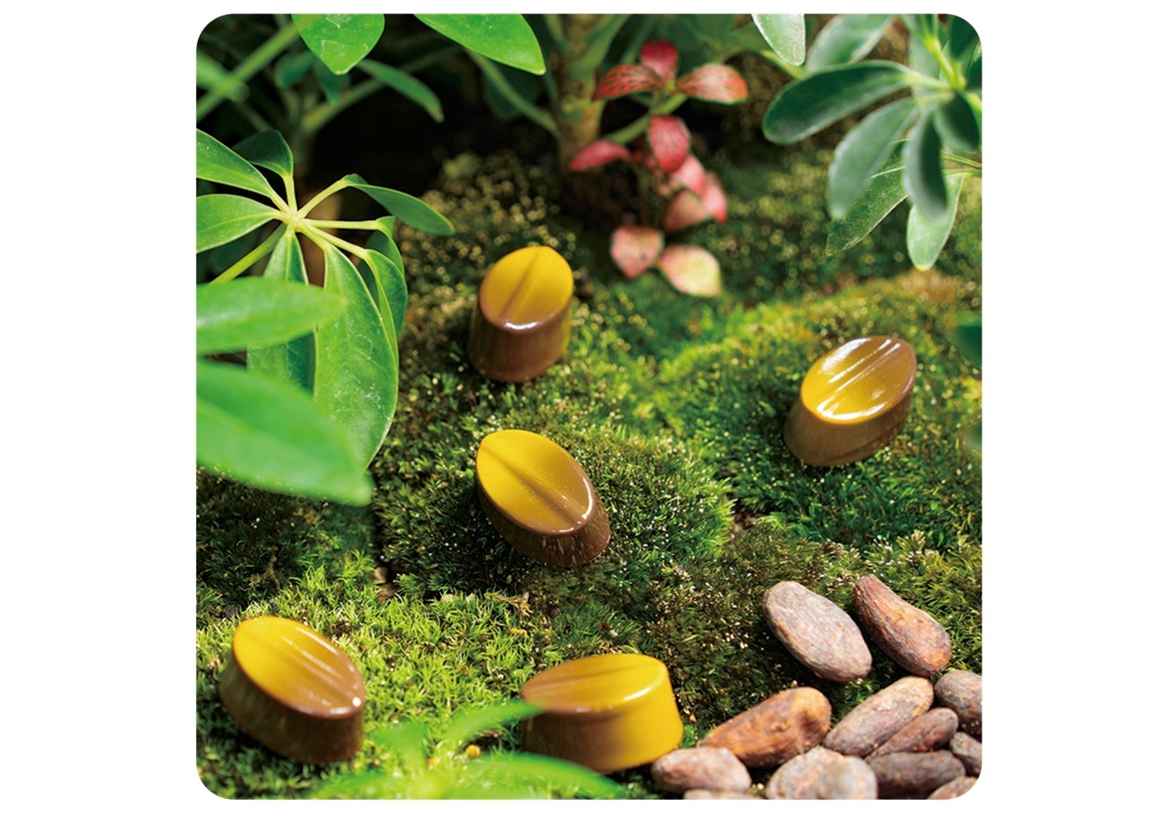 ベルギー発＜ピエール・ルドン＞の2024年バレンタイン限定ショコラが