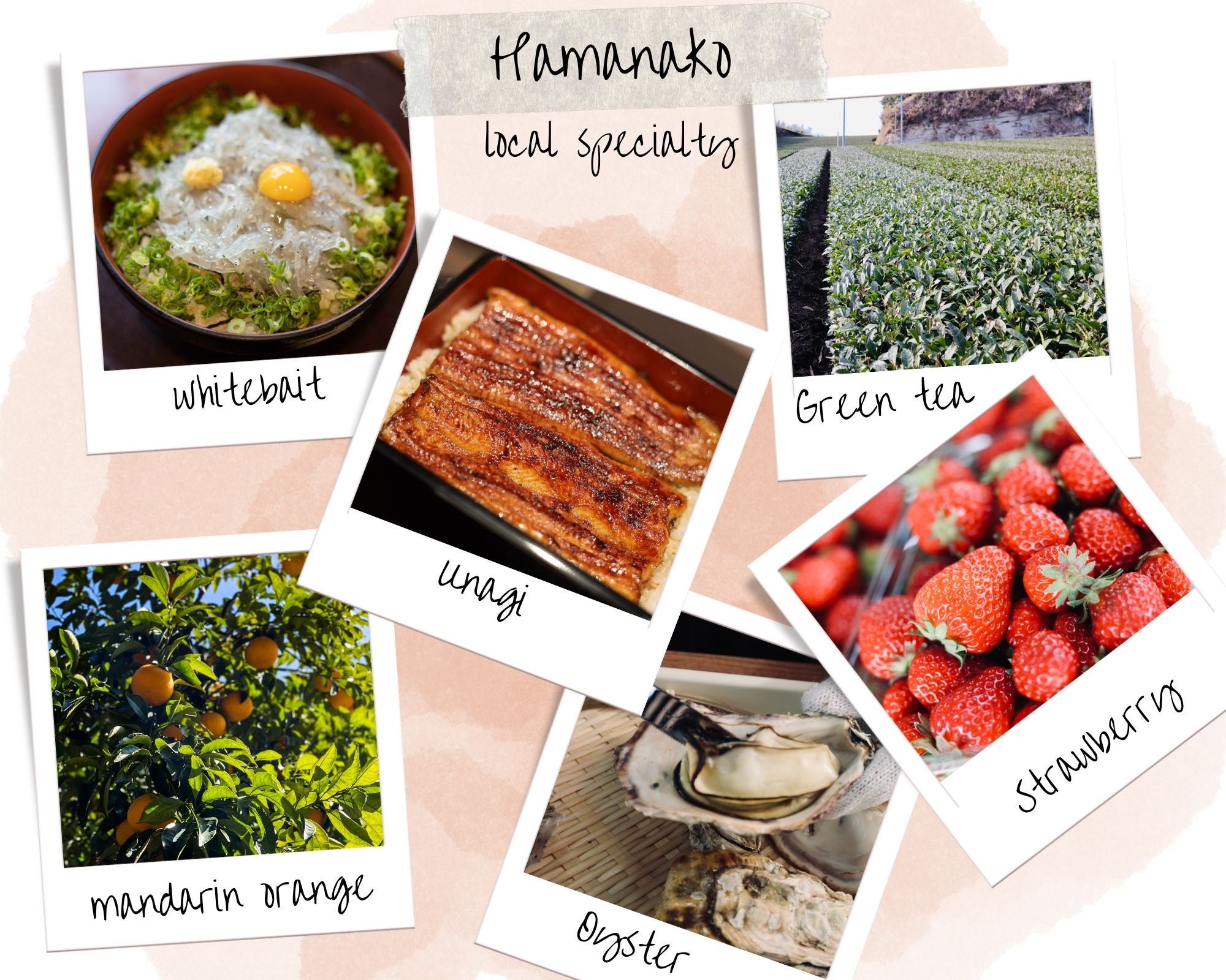 浜名湖の特産品の一例