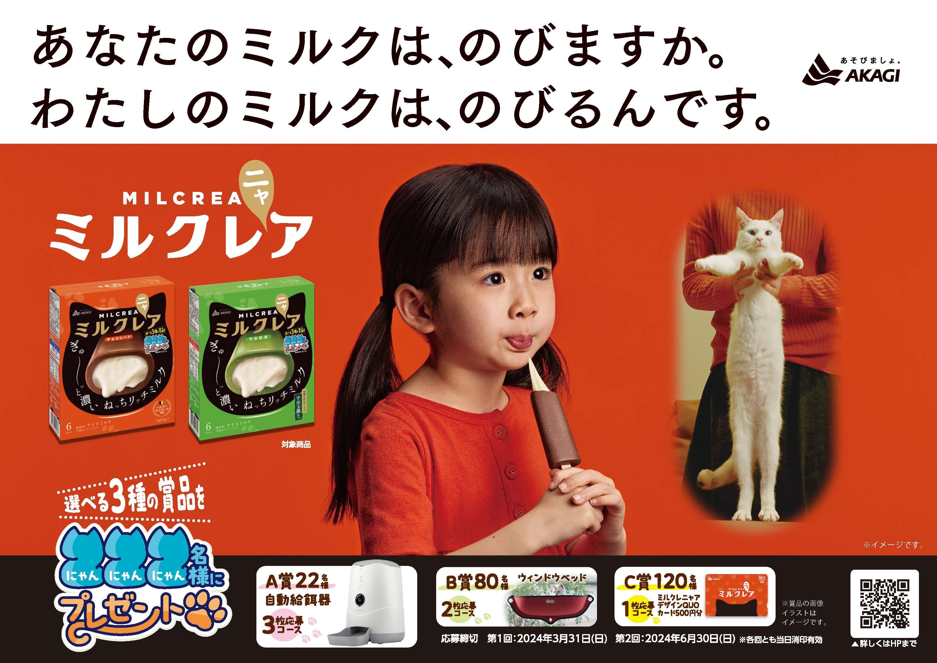 2月22日は猫の日！ミルクレアからニャンともかわいい猫