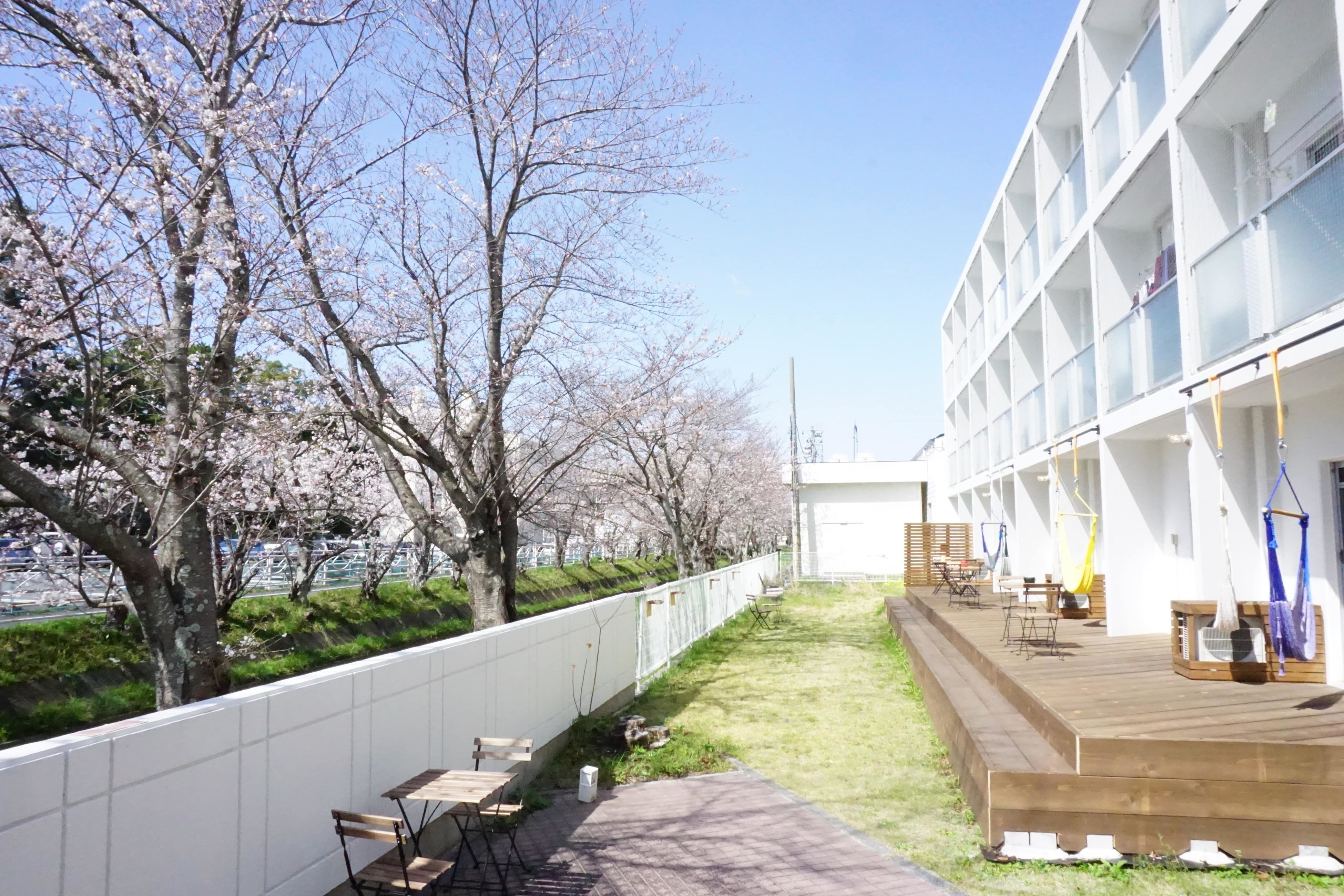 ※現在テラスにハンモックはありません