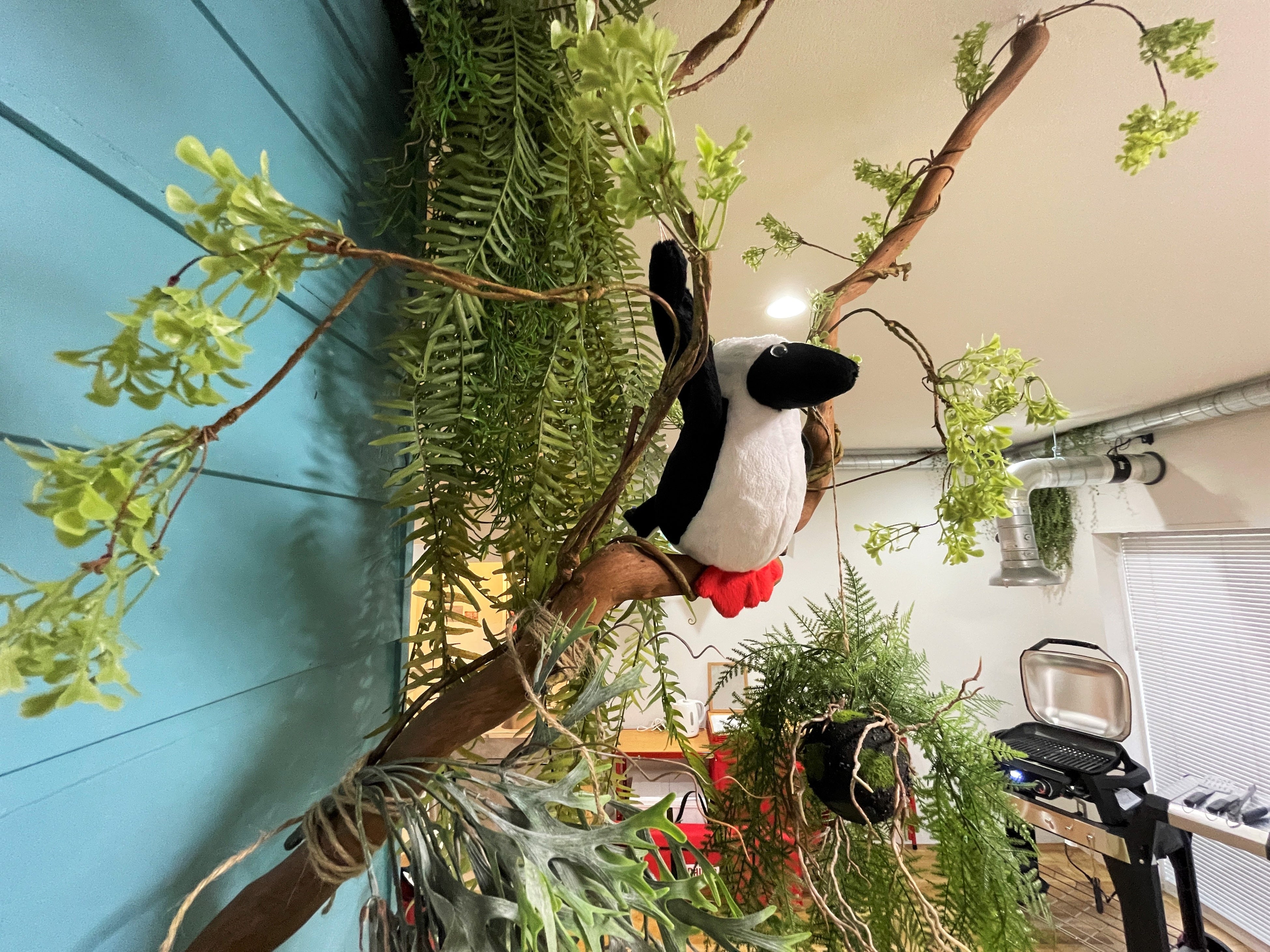 ブービーバードもごあいさつ