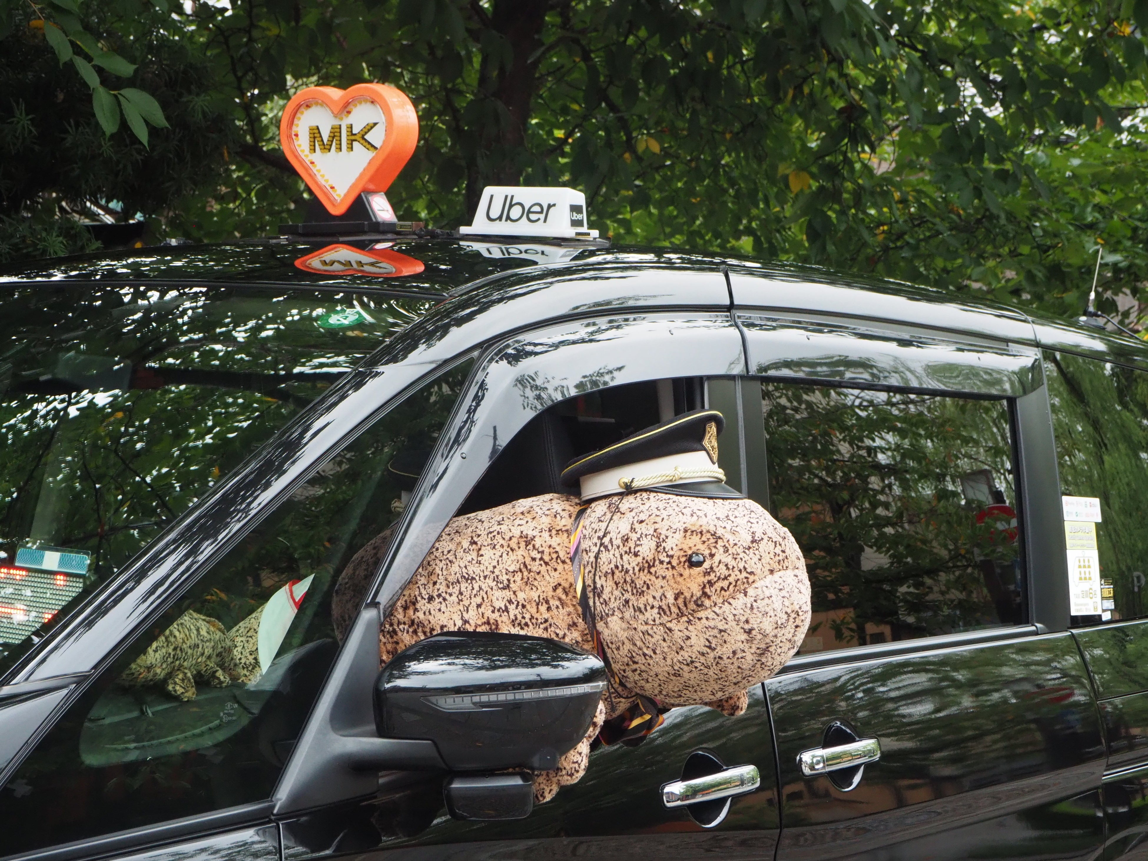 走行中は窓を閉め、シートベルトを着用しています。