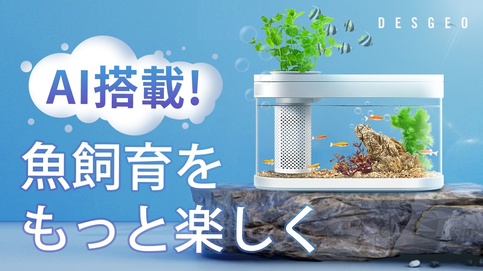 Ai知能搭載でスマホがあれば手軽に水槽管理 シンプルさを極める水陸両用卓上水槽 鑫三海株式会社のプレスリリース Ai知能搭載でスマホがあれば手軽に水槽管理 シンプルさを極める水陸両用卓上水槽 鑫三海株式会社のプレスリリース