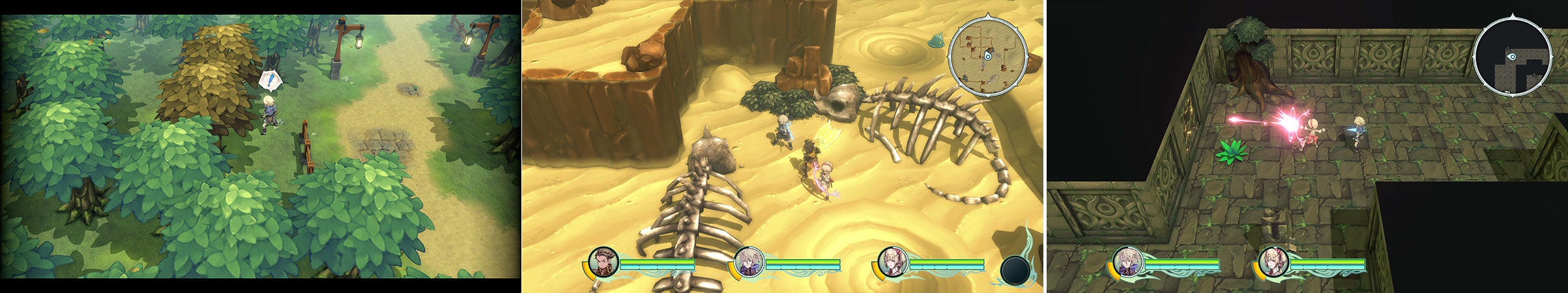 フィールドの発見