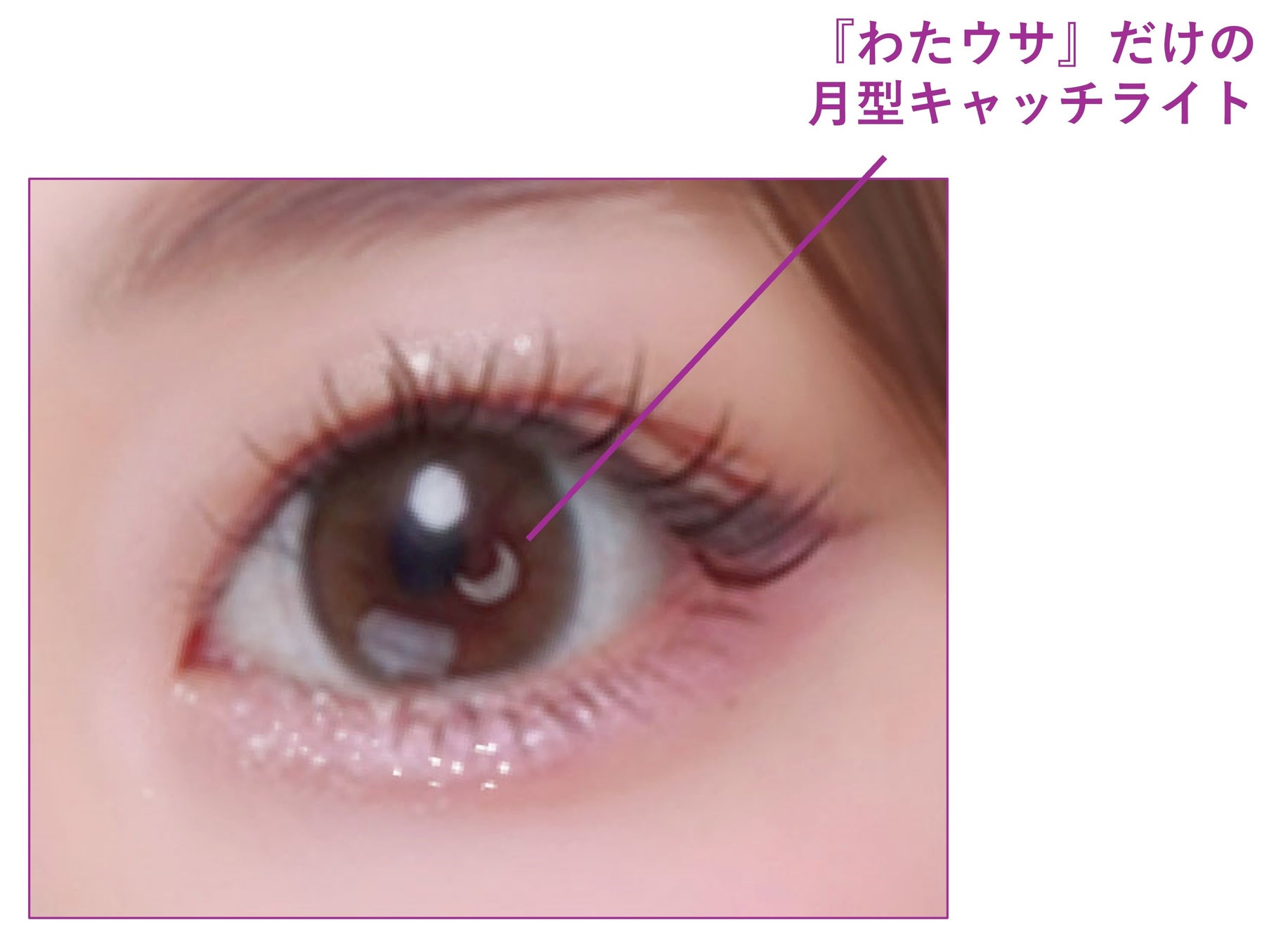 最新プリ機『わたウサ』