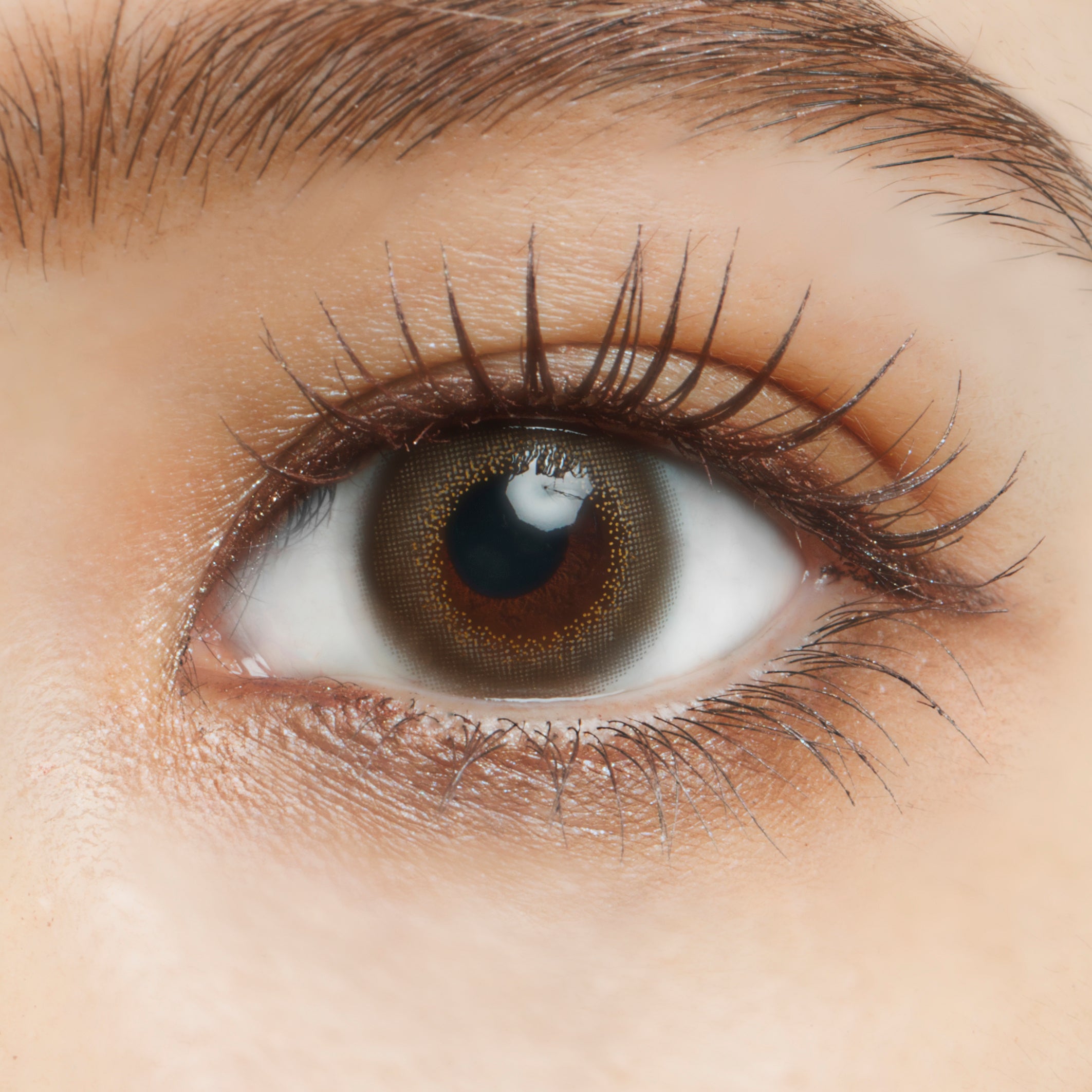 『カルミアグレー』レンズ＆装着イメージ