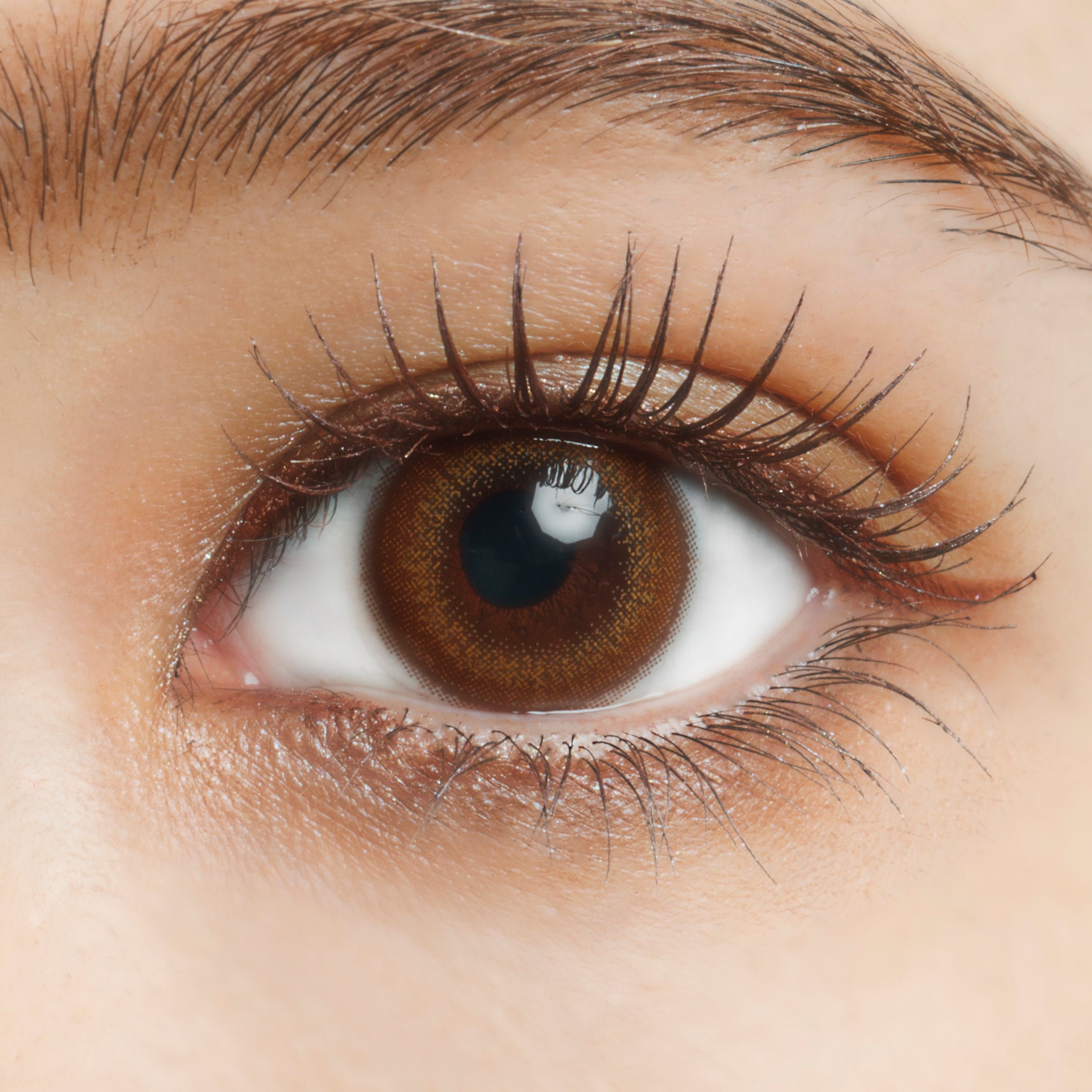 『マンダリンビジュ―』レンズ＆装着イメージ