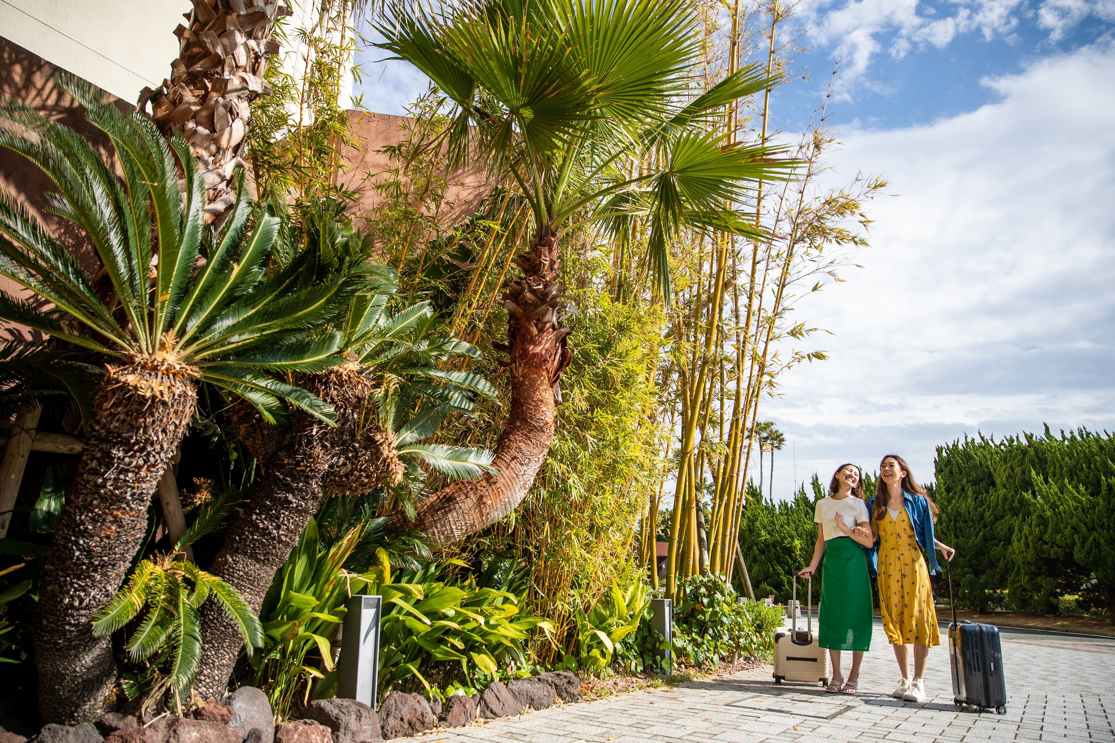 空と風と緑が織りなす、海外リゾートのような空間