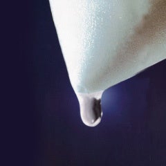 Ⅴ型コラーゲンイメージ