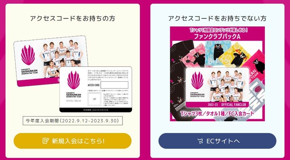 WEBサイトイメージ