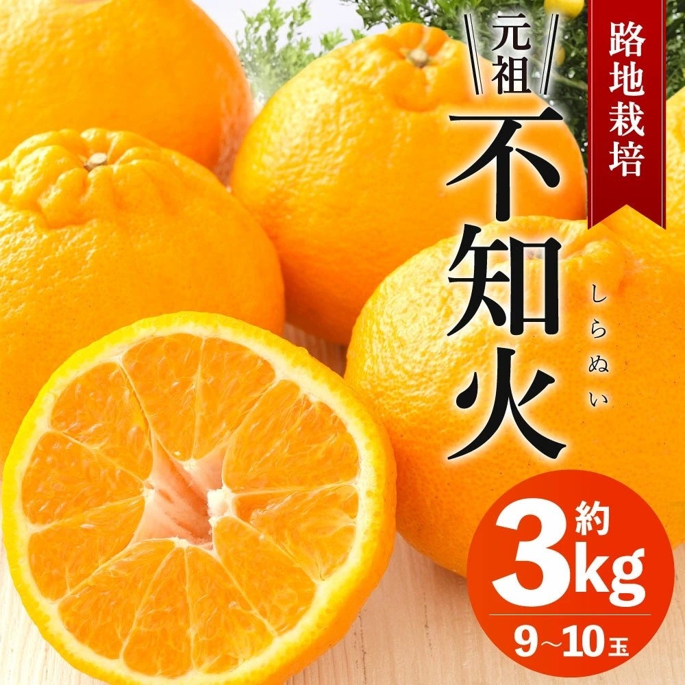 路地栽培 元祖不知火 約3kg ¥12,000