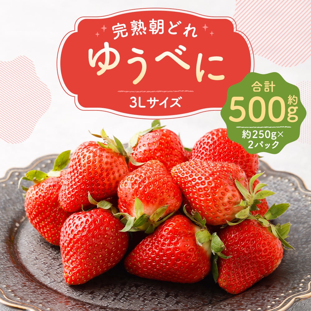 完熟朝どれ 農家直送 「ゆうべに」3L ¥12,000