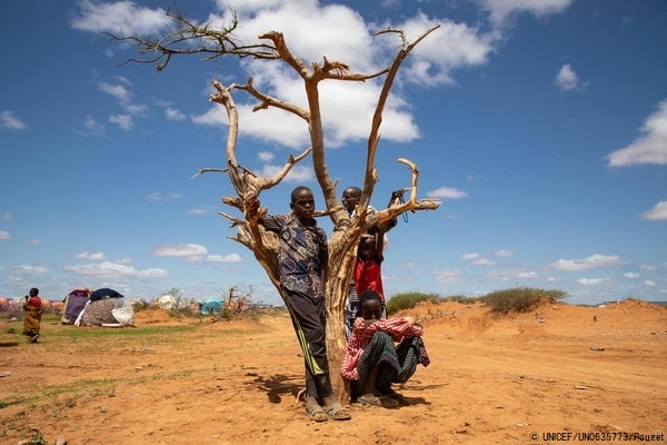 ソマリ州の干ばつの様子。多くの家族がゴデ近くの国内避難民キャンプに逃れている。(エチオピア、2022年5月撮影) © UNICEF_UN0635773_Pouget