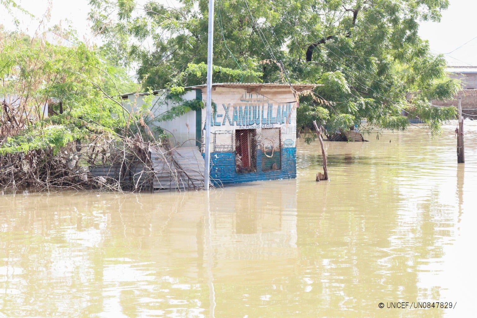 干ばつはブラジル全土に影響を及ぼしています: 農業への影響を軽減するための緊急の課題を理解します