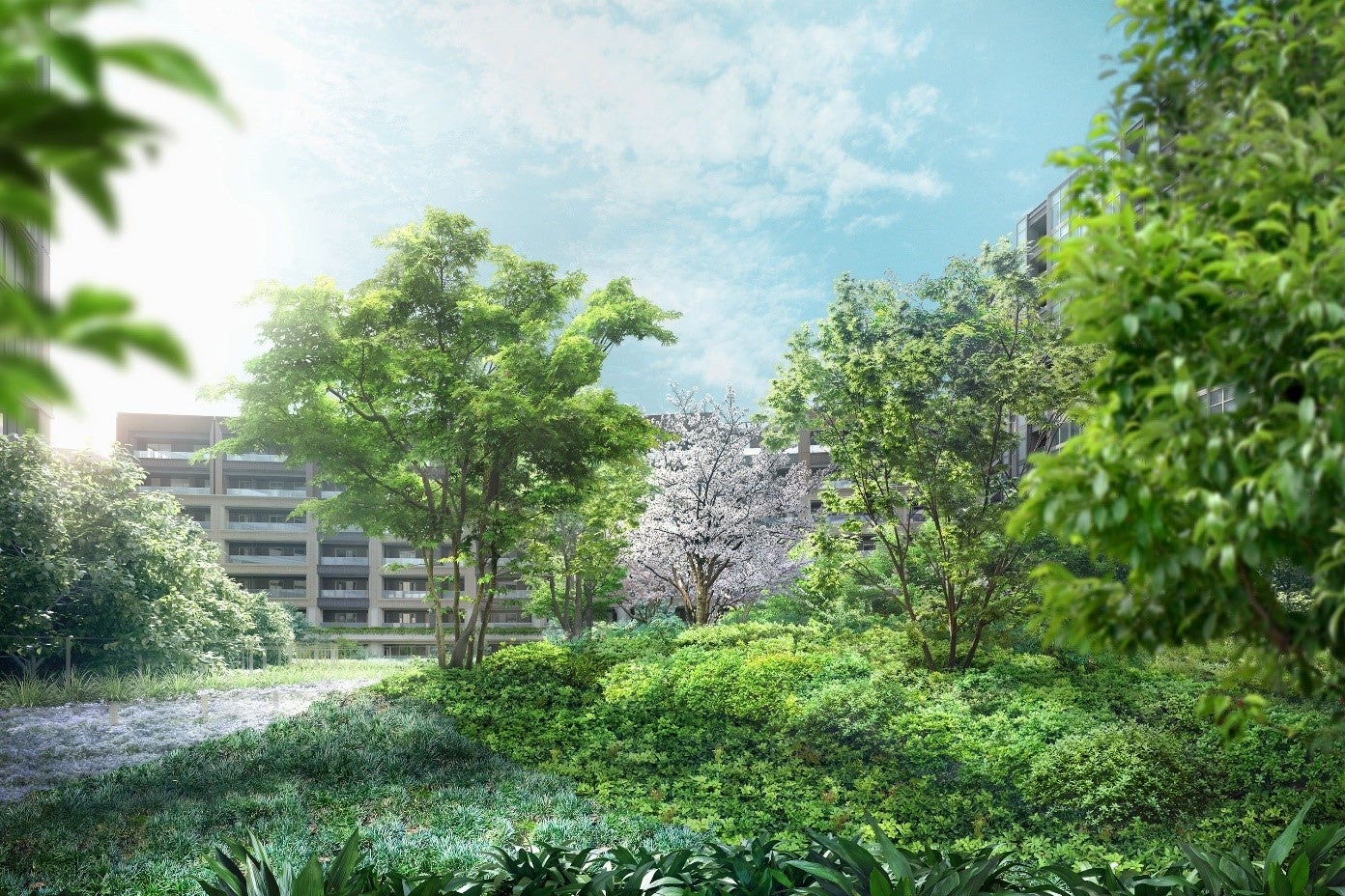 中庭完成予想イメージ