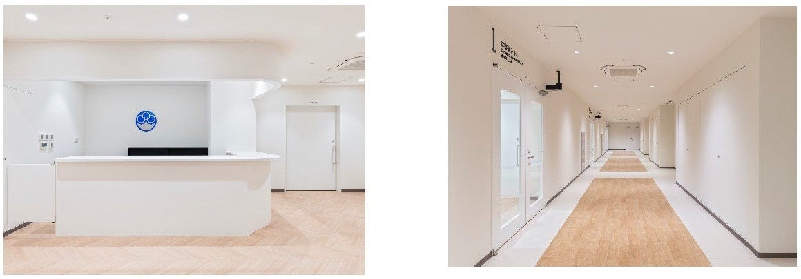 外来拡張エリア