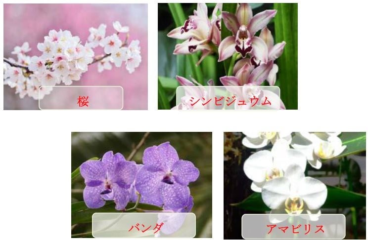使用する花材の一例