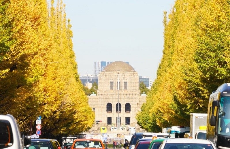神宮外苑のイチョウ並木