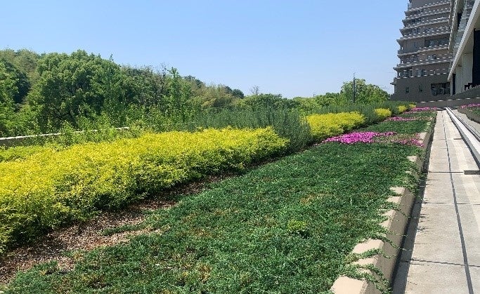 3階ベランダの多様な低木植栽