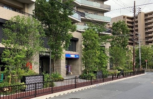 高木・低木を組み合わせた植栽