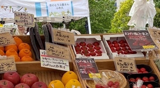 【これまでの「太陽のマルシェ」の様子】