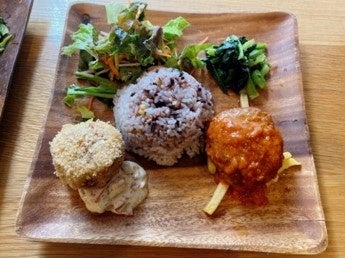 サバのコロッケとハンバーグの宇宙プレート