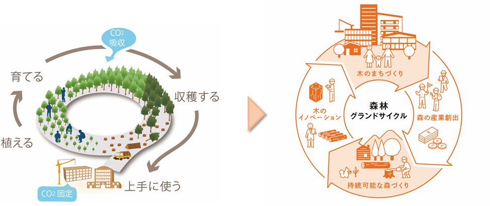 森林サイクルから森林グランドサイクルへ