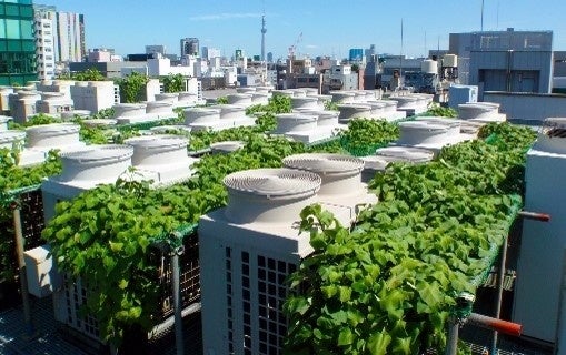 屋上における室外機芋緑化システム(イメージ) 提供:住友商事株式会社
