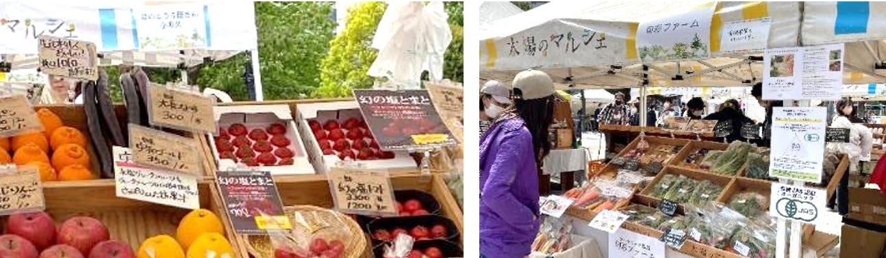 【これまでの「太陽のマルシェ」の様子】