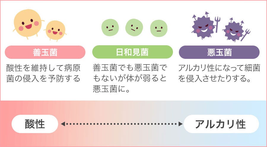 妊娠準備フローラ