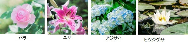 ROKKO 森の音ミュージアム 30周年記念イベントスケジュール発表!フラワーシーズンからクリスマスまで楽しめる ROKKO 森の音ミュージアム 30周年記念イベントスケジュール発表!フラワーシーズンからクリスマスまで楽しめる